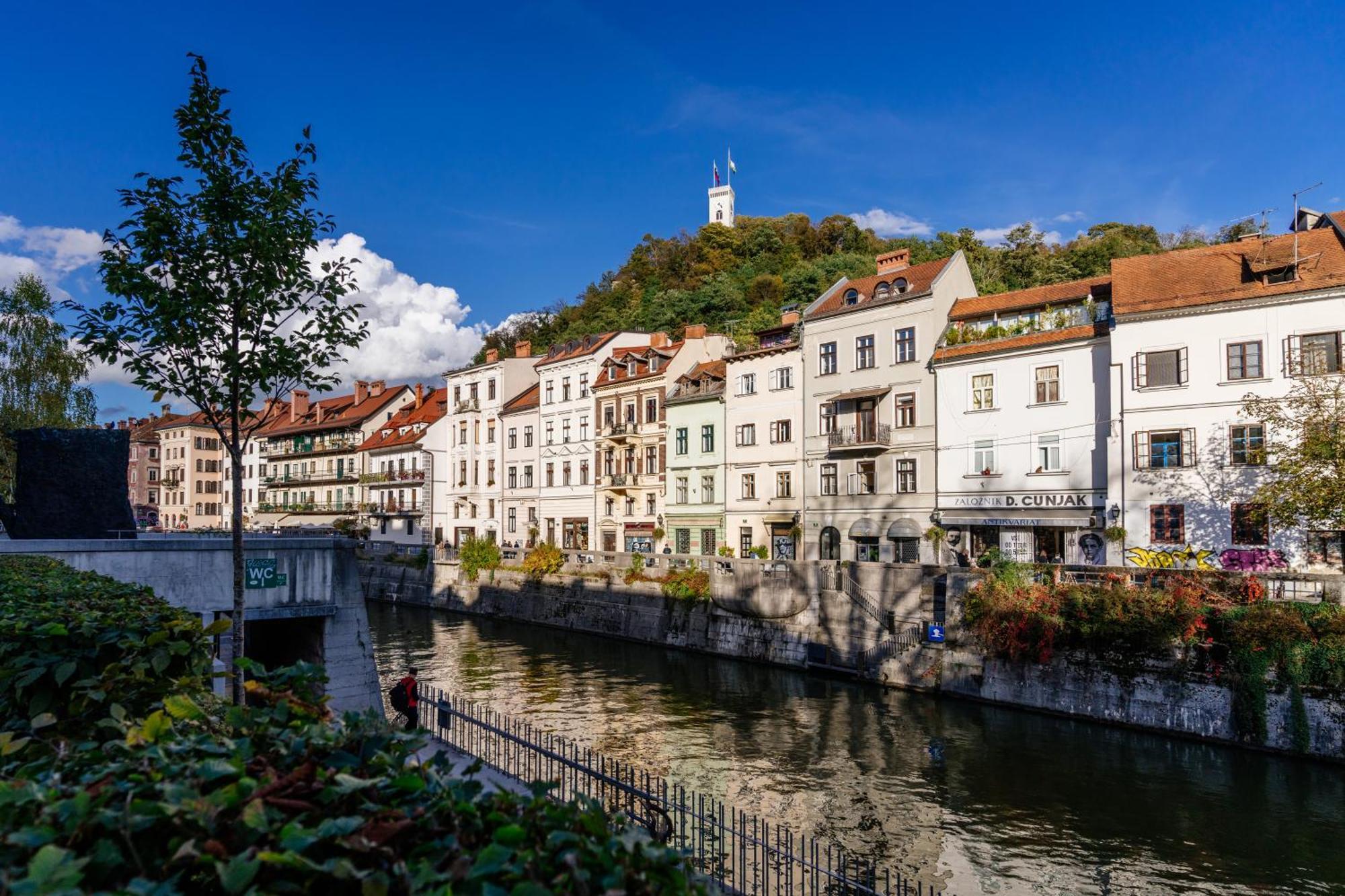 Ella'S Castle View Apartment Любляна Экстерьер фото
